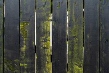 texture of old black,  wooden fence with green moss