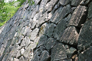 緑に囲まれた福岡城跡。石垣や塀などの歴史的建造物。福岡城は舞鶴公園と大濠公園にある。日本、福岡県