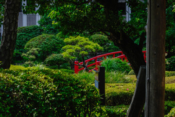 ソフィア散歩みちから見える風景　麹町、紀尾井町、千代田区、東京、日本