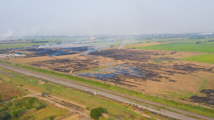burn rice fields, aerial view from flying drone of Field rice, Forest fires

