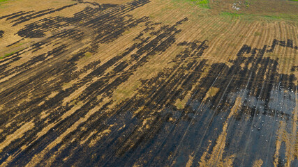 burn rice fields, aerial view from flying drone of Field rice, Forest fires
