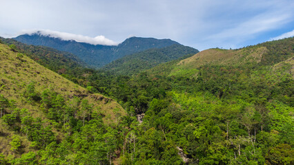 Aerial view of tropical forest in Aceh, Indonesia.