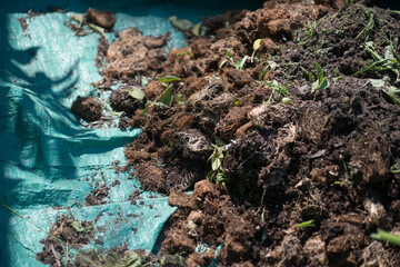 organic garden matter on a tarpaulin