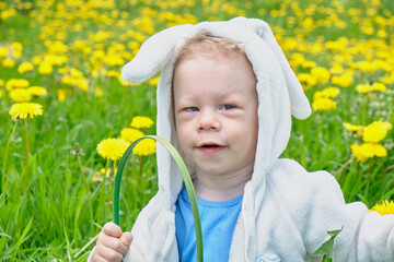 happy child dressed as rabbit sits on a field with dandelions