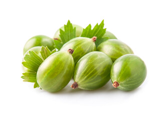 Gooseberry with leaves