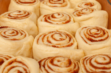 Blanks of cinnamon rolls dough are on greased parchment paper.
