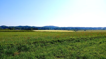 Fototapeta premium 復元された弥生時代の建物がある原の辻遺跡