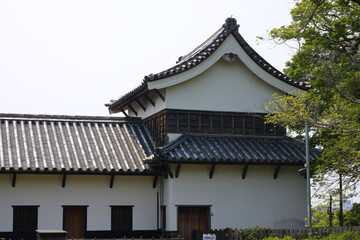 緑に囲まれた福岡城跡。石垣や塀などの歴史的建造物。福岡城は舞鶴公園と大濠公園にある。日本、福岡県