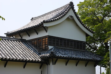 Fototapeta na wymiar 緑に囲まれた福岡城跡。石垣や塀などの歴史的建造物。福岡城は舞鶴公園と大濠公園にある。日本、福岡県