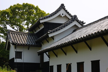 緑に囲まれた福岡城跡。石垣や塀などの歴史的建造物。福岡城は舞鶴公園と大濠公園にある。日本、福岡県