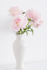 pink peonies in ceramic white vase in white interior