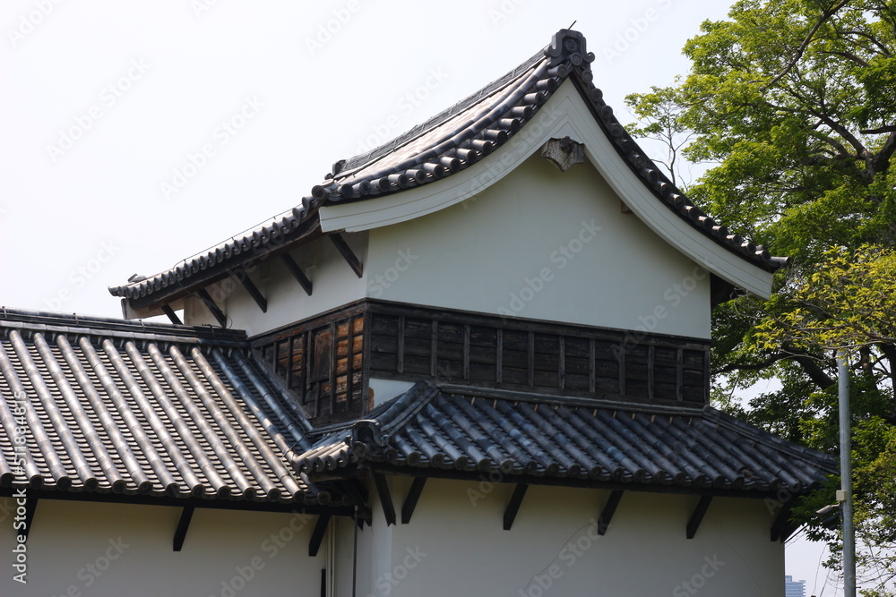 Wall mural 緑に囲まれた福岡城跡。石垣や塀などの歴史的建造物。福岡城は舞鶴公園と大濠公園にある。日本、福岡県