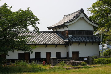 緑に囲まれた福岡城跡。石垣や塀などの歴史的建造物。福岡城は舞鶴公園と大濠公園にある。日本、福岡県