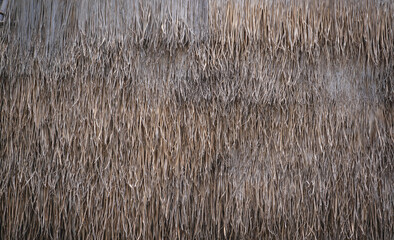 Background and texture of bamboo wall or fence