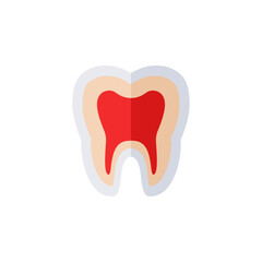 Tooth cross section abstract flat icon. Vector illustration isolated on white background. Medical diagram stomatology poster, anatomical chart with enamel, dentin and pulp, dentistry logo