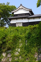 Fototapeta premium 緑に囲まれた福岡城跡。石垣や塀などの歴史的建造物。福岡城は舞鶴公園と大濠公園にある。日本、福岡県