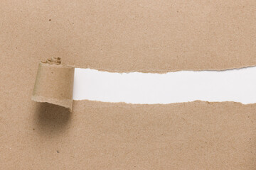Ripped recycle brown paper with empty space on white