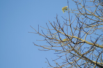 paisagem