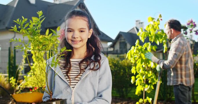 Portrait of beautiful teen cute Caucasian girl smiling to camera in orchard on sunny day and holding little tree. Mother and father working and planting trees on background. Pretty daughter in garden.