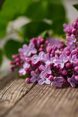 Fototapeta na wymiar Lilac blossoms on wooden background