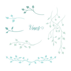 Set of vines or leaves vector. Hand drawn sketch of plant stems or branches. Nature design elements. Elegant border or corner designs. © Arlenta Apostrophe