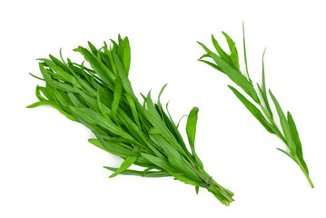 Fototapeta premium Bunch of tarragon isolated on a white background