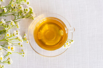 Chamomile herbal tea on a light pastel background. copy space