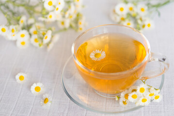 Chamomile herbal tea on a light pastel background. copy space