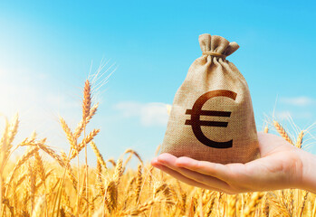 Wheat field and euro money bag. Agroindustry and the agricultural business. World hunger. Grains...