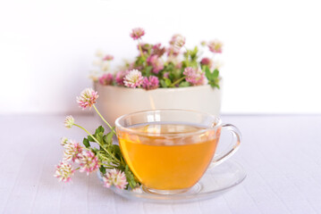 Clover herbal tea on a light pastel background. copy space