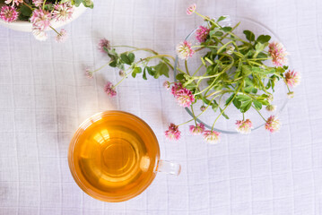 Clover herbal tea on a light pastel background. copy space