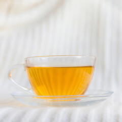 close-up of hot tea with a glass cup on a light background