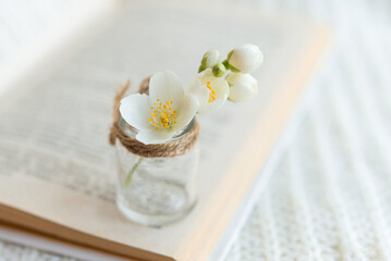 Close-up of a bouquet of white flowers in a blurred glass vase on an open book on a white knitted...
