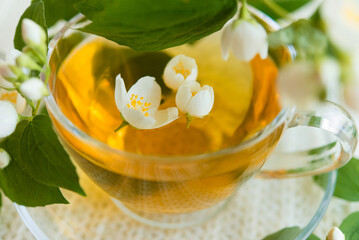 Jasmine herbal tea on a light pastel background. copy space