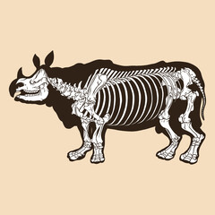 Fototapeta na wymiar Skeleton rhino vector illustration