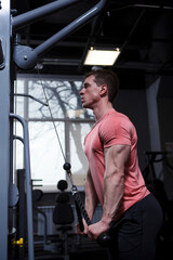 Vertical shot of a muscular man exercising in cable crossover gym machine