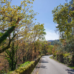 Obraz premium Estrada Encantada