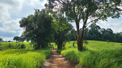 美しい自然環境