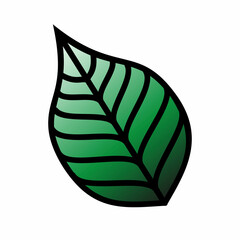 Green leaf in old school tattoo style on a white background. Vector illustration