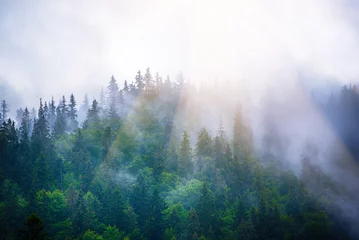 Papier peint photo  Misty mountain landscape  © Roxana