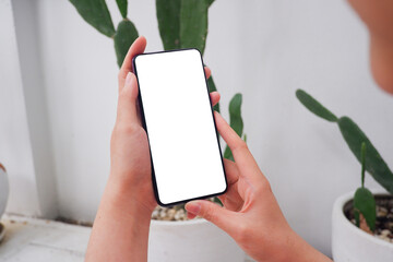 Mockup picture of business woman’s hands holding smart phone with white blank screen in modern place