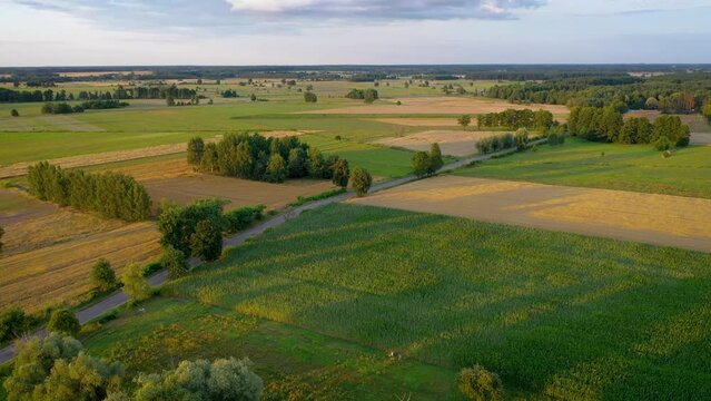 Fields and meadow in Poland, drone aerial video in Mazowsze region