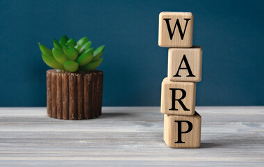 WARP - acronym on wooden cubes on the background of a cactus