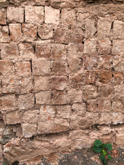 Old brick wall of 17th century side view
