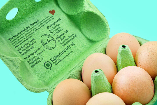 6 regionale Bio-Eier vom Hornbrooker Hof aus &ouml;kologischer Hennenhaltung und  klimaneutral
