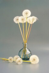 Still life with dandelions in a glass jar on a gray background. Japanese art of flower arrangement. Ikebana arrangement.	