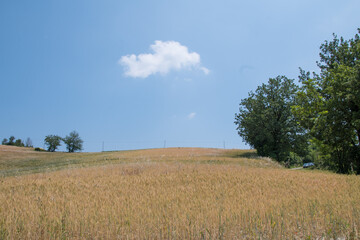Obraz premium Lavanda di Sale San Giovanni