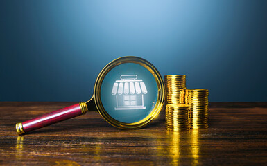 Business audit. Investments and property valuation of assets. Monitoring and revision. Profits and...