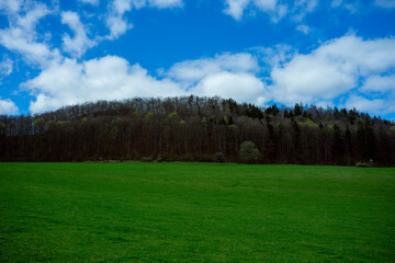 grass and blue sky