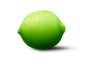 Ripe juicy green lime. 3d Realistic fruit vector illustration isolated on white background.